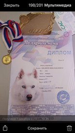 Пака диплом.jpg
