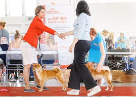 Тюмень3.jpg (285.3 КБ, Просмотров: 15758) Тюмень3.jpg