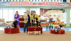 бэбики.jpg (158.72 КБ, Просмотров: 5638) бэбики.jpg