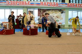 главный бэст.jpg (181 КБ, Просмотров: 5639) главный бэст.jpg