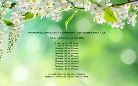 график март .jpg (804.08 КБ, Просмотров: 17122) график март .jpg