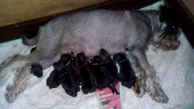 дети.jpg (138.05 КБ, Просмотров: 3361) дети.jpg