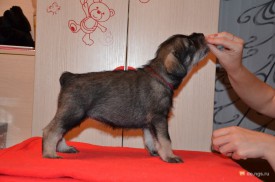 красная.jpg (209.94 КБ, Просмотров: 3328) красная.jpg