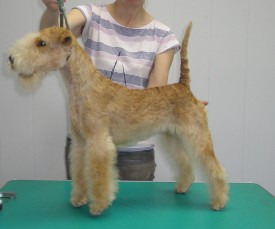 мама Чана.jpg (210.6 КБ, Просмотров: 5186) мама Чана.jpg