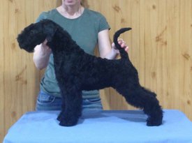 персона.jpg (74.56 КБ, Просмотров: 1581) персона.jpg