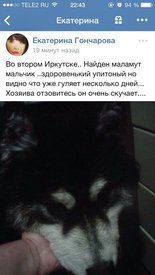 0-02-05-d8a84cb287705a1e290fd9a12ccdeb6900e1f738f12032f68c8b0ecbbf1265ae_full.jpg