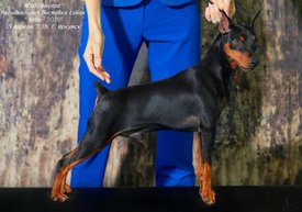 1А.jpg (112.08 КБ, Просмотров: 15160) 1А.jpg