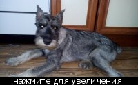 1.jpg (7.63 КБ, Просмотров: 3784) 1.jpg