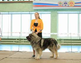 10.jpg (127.84 КБ, Просмотров: 4976) 10.jpg