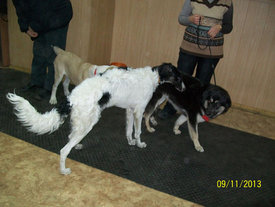 100_4176.JPG