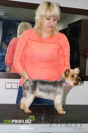 14958759_1371244772905429_415109922_n.jpg (219.91 КБ, Просмотров: 3402) 14958759_1371244772905429_415109922_n.jpg