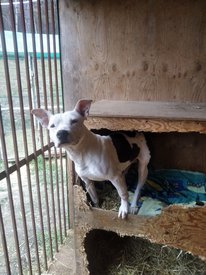 16363420884477.jpg (204.66 КБ, Просмотров: 16241) 16363420884477.jpg