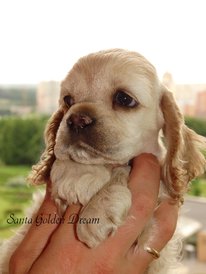 16b449fd.jpg (431.73 КБ, Просмотров: 1541) 16b449fd.jpg