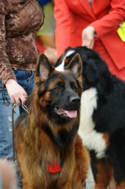 19gZJH4zg.jpg (199.91 КБ, Просмотров: 1155) 19gZJH4zg.jpg