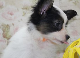 2.2.jpg (110.8 КБ, Просмотров: 2199) 2.2.jpg