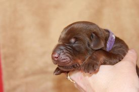 2.jpg (38.59 КБ, Просмотров: 2666) 2.jpg