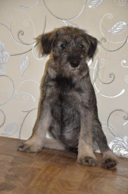 2.jpg (144.44 КБ, Просмотров: 3219) 2.jpg