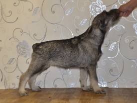 2.jpg (243.97 КБ, Просмотров: 3218) 2.jpg