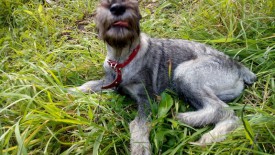 2.jpg (145.34 КБ, Просмотров: 3125) 2.jpg