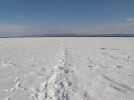 2011 027 - копия.JPG