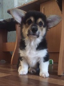 20180706_224701.jpg