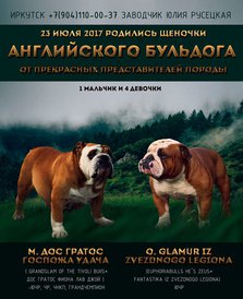 20264788_1524292040947381_7929423485737567522_n.jpg (116.37 КБ, Просмотров: 1301) 20264788_1524292040947381_7929423485737567522_n.jpg