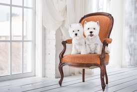 26.jpg (105.21 КБ, Просмотров: 2222) 26.jpg