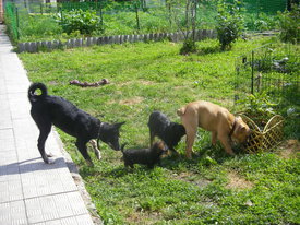 2gQmd0gg.jpg (183.06 КБ, Просмотров: 5941) 2gQmd0gg.jpg