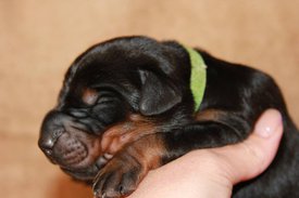 3.jpg (43.87 КБ, Просмотров: 2666) 3.jpg