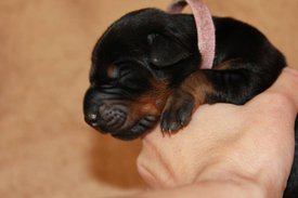 3.jpg (40.72 КБ, Просмотров: 2666) 3.jpg