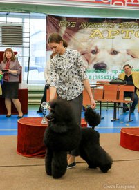 35.jpg (91.94 КБ, Просмотров: 4976) 35.jpg