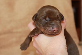 4.jpg (37.35 КБ, Просмотров: 2666) 4.jpg