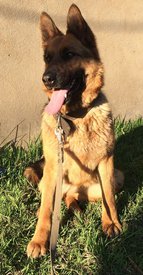 53B0F7B6-6B17-46AB-A2F6-738F280A55FE.jpeg (299.23 КБ, Просмотров: 3080) 53B0F7B6-6B17-46AB-A2F6-738F280A55FE.jpeg