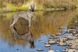 59f3efc3f007.jpg (77.96 КБ, Просмотров: 1748) 59f3efc3f007.jpg