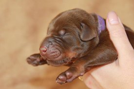 6.jpg (46.51 КБ, Просмотров: 2666) 6.jpg