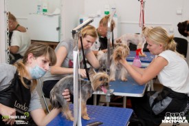 88.jpg (195.05 КБ, Просмотров: 3530) 88.jpg