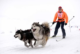 ALX_1500.jpg (75.55 КБ, Просмотров: 1638) ALX_1500.jpg