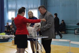 B884CD5B-211B-43D3-85FC-5E7ECDB106BE.jpeg (171.29 КБ, Просмотров: 6264) B884CD5B-211B-43D3-85FC-5E7ECDB106BE.jpeg