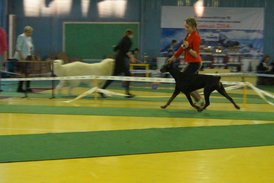 DSC00884.JPG