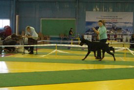 DSC00945.JPG