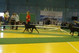 DSC01020.JPG