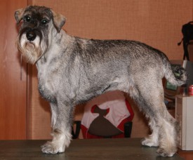 F25Bo8vFiGo.jpg (108.52 КБ, Просмотров: 3412) F25Bo8vFiGo.jpg