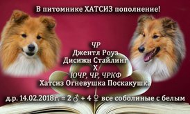 FRO29GQHH0g.jpg (208.24 КБ, Просмотров: 2383) FRO29GQHH0g.jpg