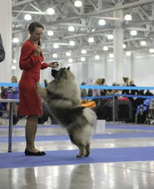 Fenix.s3.jpg (103.76 КБ, Просмотров: 3545) Fenix.s3.jpg