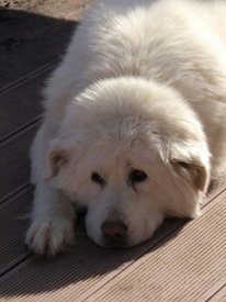 G3M8oyLga3U.jpg (155.62 КБ, Просмотров: 1804) G3M8oyLga3U.jpg