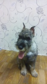 GCIam6qMkig.jpg (78.74 КБ, Просмотров: 3170) GCIam6qMkig.jpg