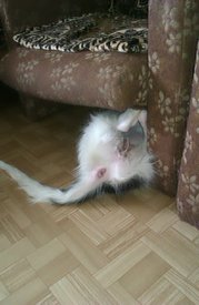 IMAG0347.jpg