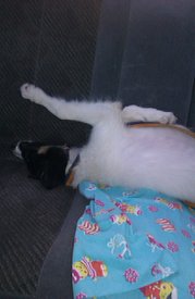 IMAG0358.jpg