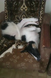 IMAG0359.jpg