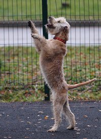 IMG-20171030-WA0012.jpg (132.23 КБ, Просмотров: 1532) IMG-20171030-WA0012.jpg